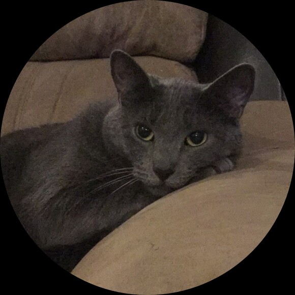 jivock